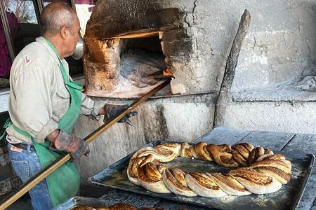 The best tour to Bustamante + Guide + transfer + tickets