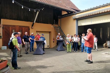 Visit and tasting of wines and cheese and charcuterie platter