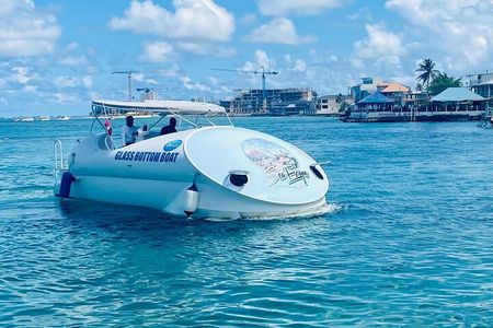 Oculus Glass Bottom Boat Tour 