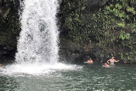 Maui Exclusive - Road to Hana Adventure - Just for Your Group