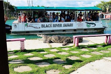 Black River Safari Guided Tour & YS Falls Daytrip