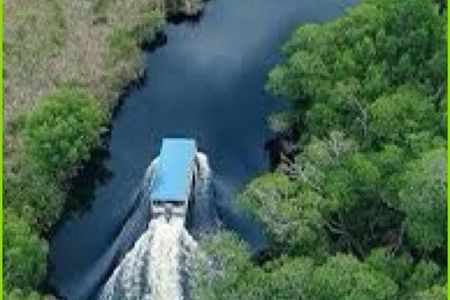 Jamaica Black River Safari Guided Tour & YS Falls Tour