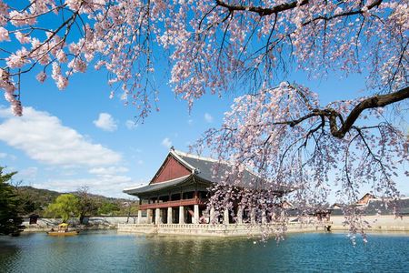 One day Essential Seoul City Tour with English or Spanish