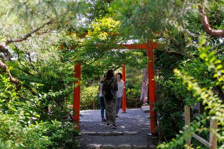 Kyoto Customized Private Tour: See Top Attractions in 1 Day