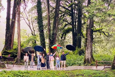 Mount Fuji 5th Station, Oshino Hakkai and Swan Lake Day Tour