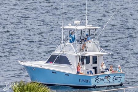 2 Hour Private Dolphin Sightseeing Tour