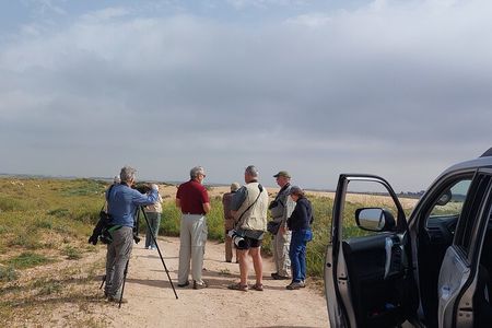 National Park Souss Massa 1/2 Day Trip From Taghazout