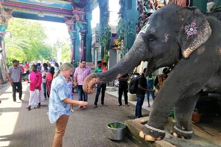 Full Day Guided Tour of Pondicherry with lunch and hotel pickup