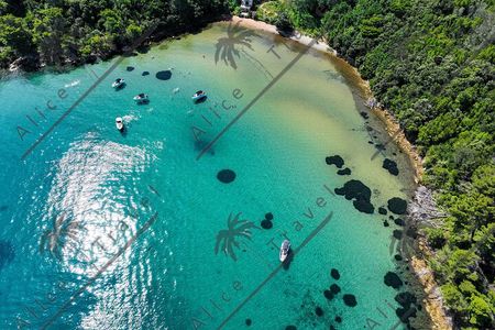Adrenaline Adventure on Speedboat with 3 stops and Snorkeling