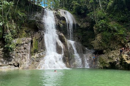 Tropical Rainforest Luxury Experiences 