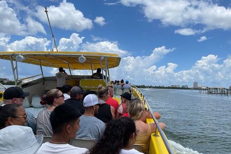 Orlando: Clearwater Beach, Dolphin Cruise Small Group Max 14 Tour