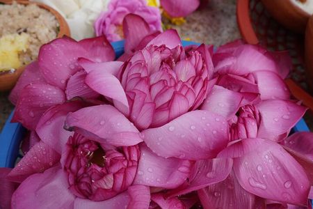 Private City Day Tour in Anuradhapura