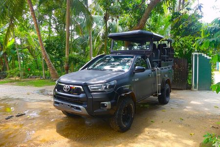 Morning 07 Hour Shared Safari at Yala National Park by Yala La Safari Tours