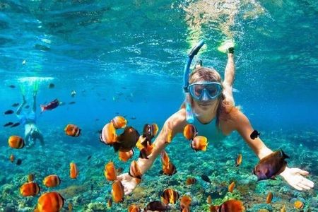 Private Montego Bay Snorkeling Tour with Boat Ride & Transport