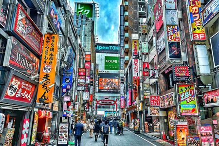 Perfect Start for your Japan Trip - Private Walking Tour in Tokyo