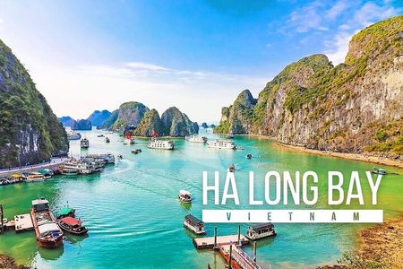 Halong Bay and Cave Full-Day Cruise,Lunch,Cave,Island,Beach from Hanoi