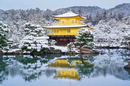 Golden Pavilion Kiyomizu Temple and Fushimi Inari Shrine Tour