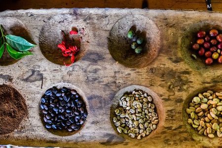 Bean to Cup: Traditional Coffee Preparation in Arusha