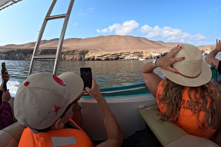 Ballestas Islands and Huacachina Extrema Adventure from Lima