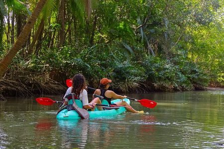 Paddle Through Paradise: Mangrove Kayak Adventure