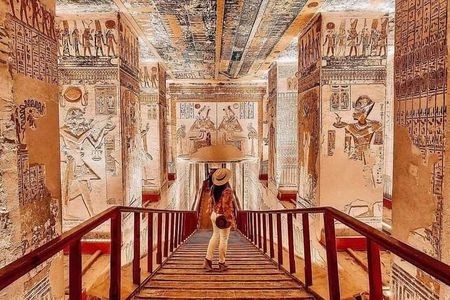 Private Guided tour Valley of the kings king Tut tomb and others