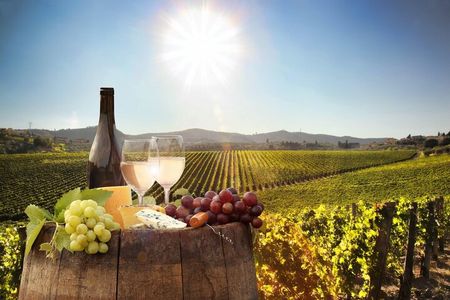 Private Cape Winelands Tour: Stellenbosch & Franschhoek
