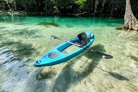 Silver Springs Wildlife Tour - Glass Bottom Kayaks