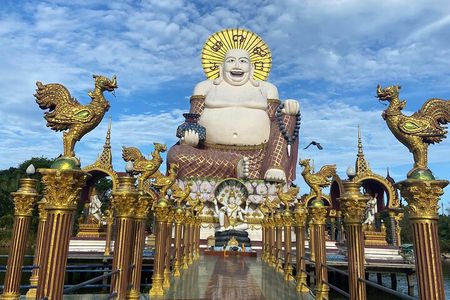 Ultimate Samui Experience: Tour of Cultural and Natural Wonders