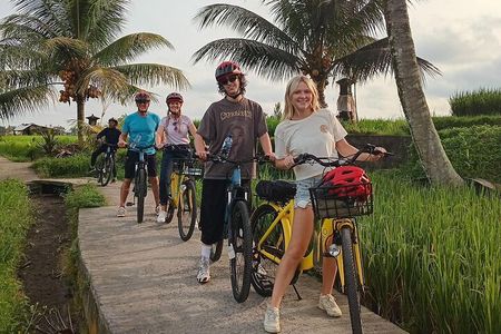 Ubud : Kintamani Downhill Cycling Tour with Lunch