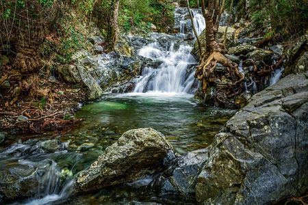 Caledonia Waterfalls Tour with Lunch