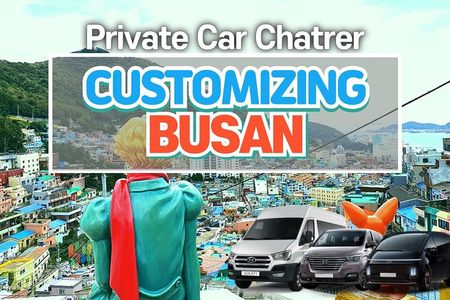 1 Day Private Busan Guided Tour