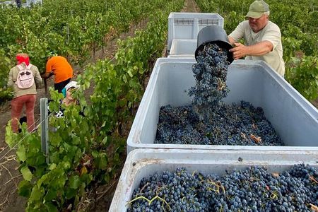 1 Day: Wine tasting tour to Milesti Mici and Cricova cellar from Moldova 