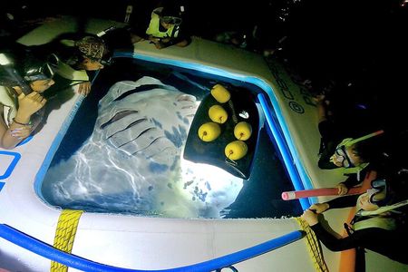 Manta Ray Night Snorkel Tour in Kailua-Kona, Big Island