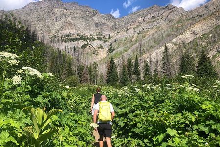 Waterton Bertha Lake Hike