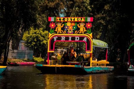 Xochimilco, Coyoacan and more tours