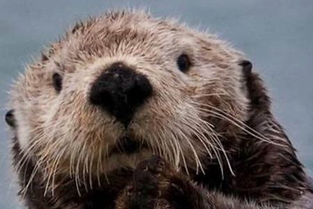 Small Group Boat Tour of Sitka