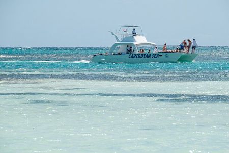 Half Day Catamaran Cruise Punta Cana, Snorkeling & Natural Pool