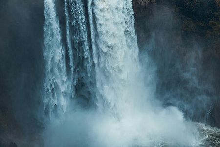 Visit Snoqualmie waterfall and an old Forest (Transport Included)