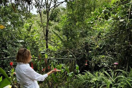 Mindo Cloud Forest Private Day Tour and Chocolate Factory