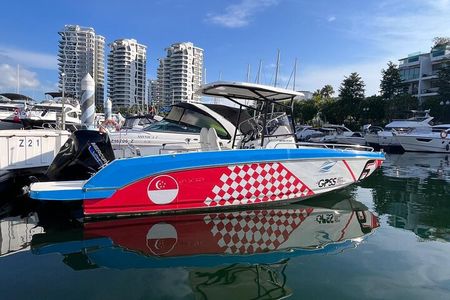Singapore Southern Islands Speedboat Adventure 
