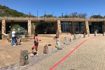 Private tour in Cape of Good Hope and Penguins from Cape Town