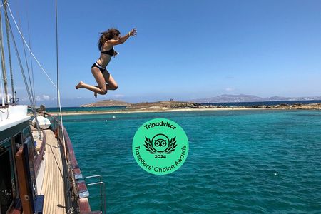 Mykonos Sail Cruise to Rhenia, Guided Tour of Delos, Lunch&Drinks