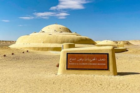 Fayoum Oasis Tour With Pickup From Cairo