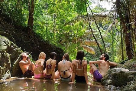 Wildlife Sanctuary Trekking in Khao Phra Thaeo with Lunch