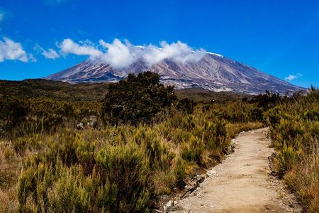 7 Day Tour Machame Route