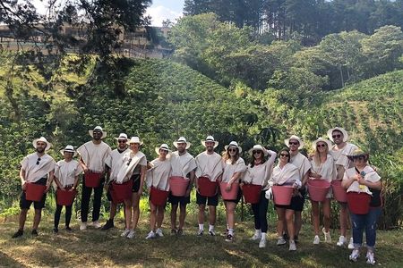 Medellin Coffee Farm Tour with Cable Car Ride