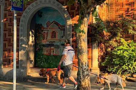 Shanghai Old Town Citywalk with a Discovery Challenge