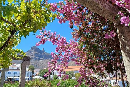 Gran Canaria highlights & hidden gems with local guide Sky Rebels
