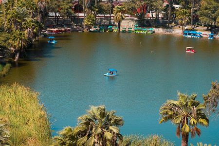  Sunset in Huacachina and Tacama: Private Tour from Lima