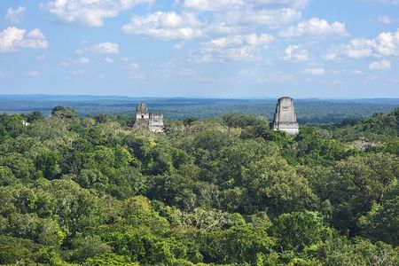 Tikal Private Tour from Flores Guatemala with Transportation